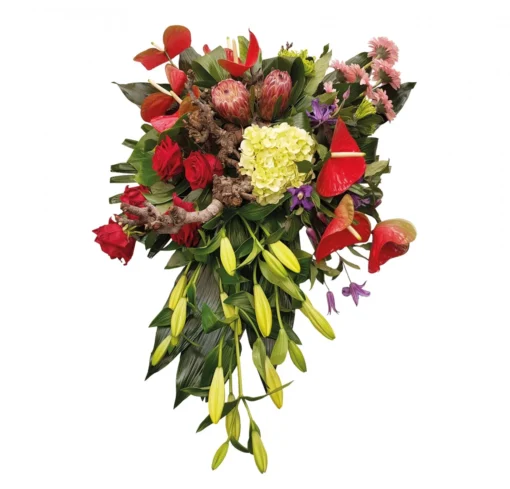 Diepe Verslagenheid, 80cm -Groen Tuin Pro Verkoopwinkel diepe verslagenheid 80cm 1611847860 l