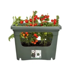Elho Plantenbak Green Basics Stack & Grow Large Groen -Groen Tuin Pro Verkoopwinkel elho plantenbak green basics stack grow large groen 800x800 620e3d4de4622 l