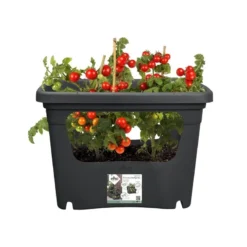 Elho Plantenbak Green Basics Stack & Grow Large Zwart -Groen Tuin Pro Verkoopwinkel elho plantenbak green basics stack grow large zwart 800x800 620e3d4eed857 l