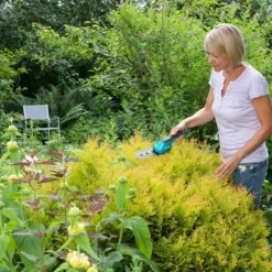 GARDENA Accu Gras- En Buxusschaar Set Accucut Li -Groen Tuin Pro Verkoopwinkel gardena accu gras en buxusschaar set accucut li 1619704816 l