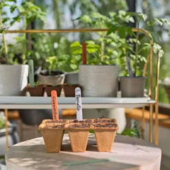 GARDENA FreshCut Set -Groen Tuin Pro Verkoopwinkel gardena freshcut set 1500x1000 640af81aaa70a l