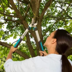 GARDENA Takkenschaar EasyCut 500 B -Groen Tuin Pro Verkoopwinkel gardena takkenschaar easycut 500 b 1500x1000 640af7e5d4f80 l