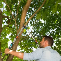 GARDENA Takkenschaar TeleCut Long 650-900 B -Groen Tuin Pro Verkoopwinkel gardena telecut long 650 900b 1500x1001 640af7f15744f l