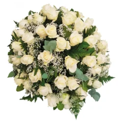 Geen Woorden Voor, 50cm