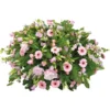 Herinnering Vol Liefde, 100cm -Groen Tuin Pro Verkoopwinkel herinnering vol liefde 100cm 1611847912 l
