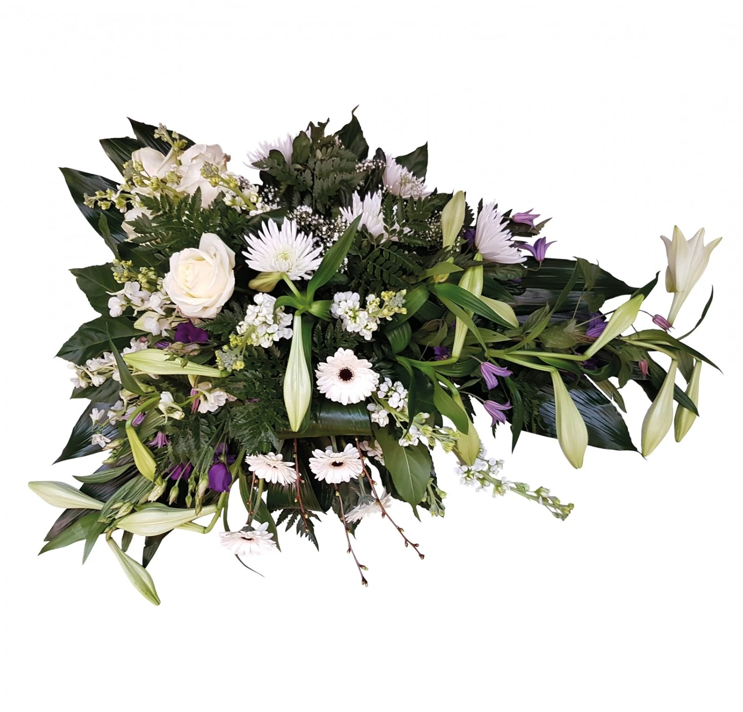 Medeleven, 90cm 3 Medeleven, 90cm