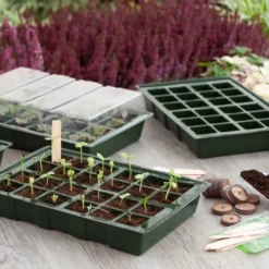 Nature Kweekbakset 35x23,5cm 4 St -Groen Tuin Pro Verkoopwinkel nature kweekbakset 35x23 5cm 4 st 800x532 6214a027c962f l