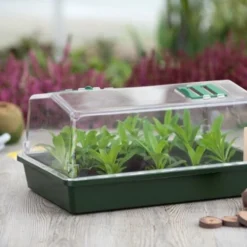 Nature Kweekkas Groen 55x31cm 7 Nature Kweekkas Groen 55x31cm -Groen Tuin Pro Verkoopwinkel nature kweekkas groen 55x31cm 800x532 6214a0257444b l