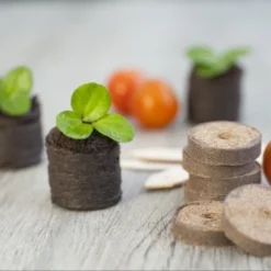 Nature Turftabletten 48st -Groen Tuin Pro Verkoopwinkel nature turftabletten 48st 800x532 6214a01453d91 l