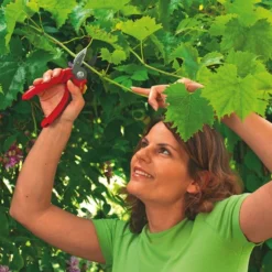 WOLF-Garten Aambeeld Snoeischaar Comfort Plus RS2500 7 WOLF-Garten Aambeeld Snoeischaar Comfort Plus RS2500 -Groen Tuin Pro Verkoopwinkel wolf garten aambeeld snoeischaar comfort plus rs2500 1619177787 1 l