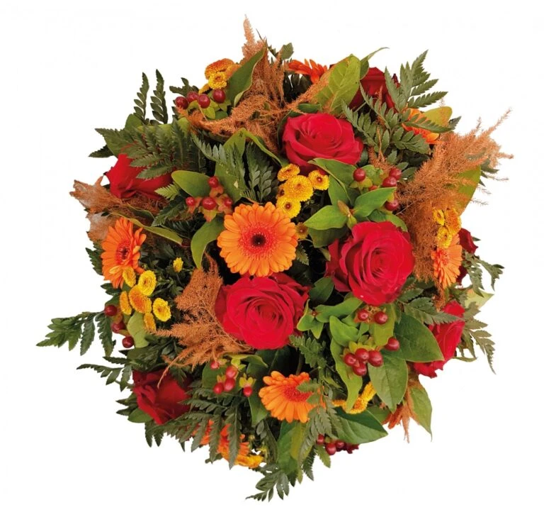 Groen Tuin Pro Verkoopwinkel -Groen Tuin Pro Verkoopwinkel vaarwel 50cm 1611848983 l 768x736 1